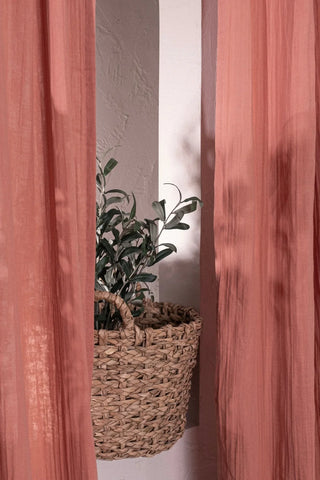 Coral panels framing olive plant in basket. Handwoven 2-layer muslin cotton curtain, Denizli, OEKO-TEX. Vivamaison.