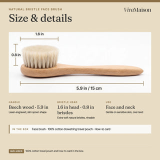 Size and details of the dry face brush: 15 cm handle, 4 x 4 cm bristle head, 2 cm natural bristles - VivaMaison