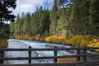 Metolius River, Oregon in autumn (CC0, illustrative)